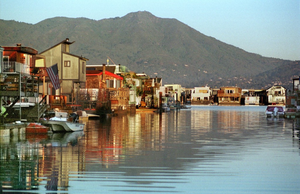 Sausalito Seahorse Bar