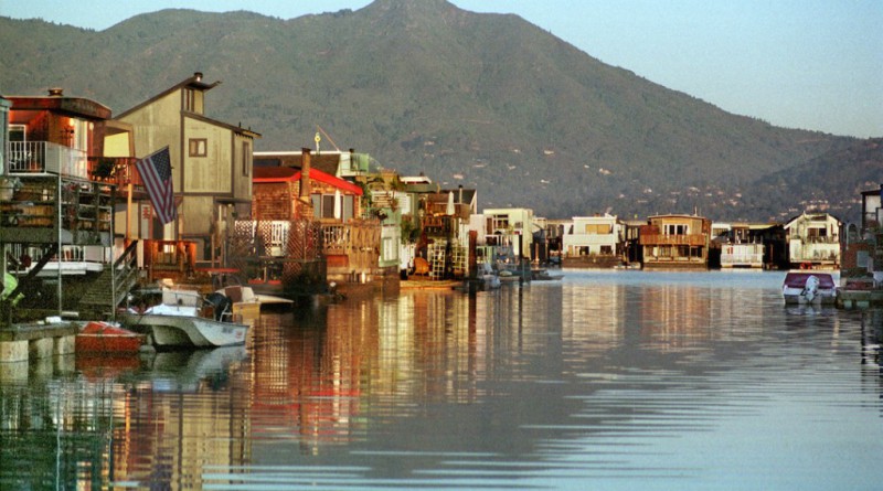 Sausalito Seahorse Bar